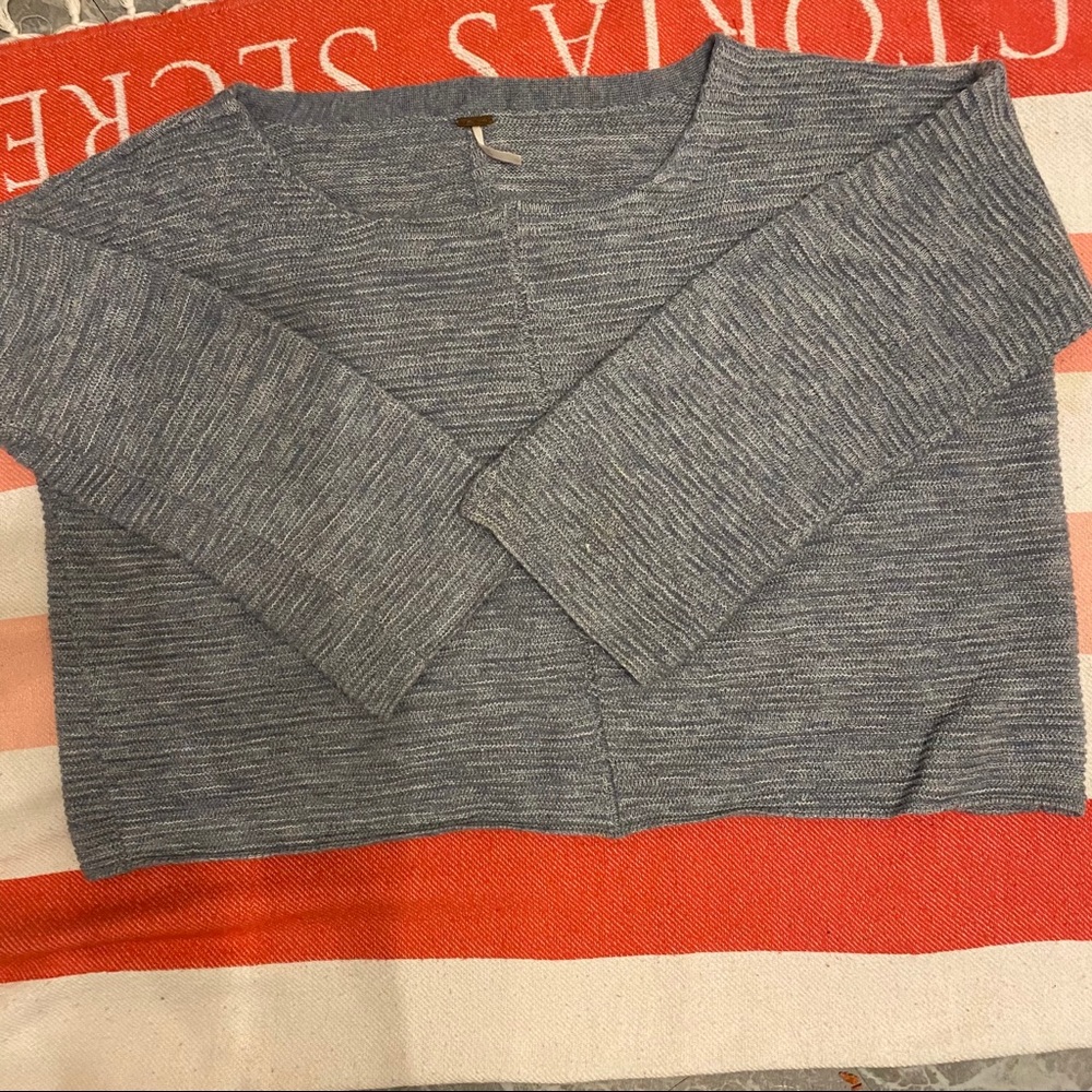 Free people sweater large
